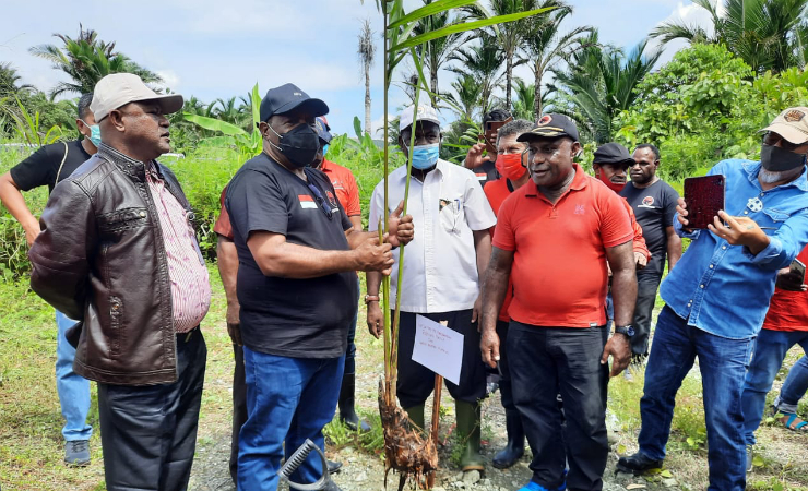 TANAM | JWW ketika akan menanam pohon sagu. (Foto: Berti)