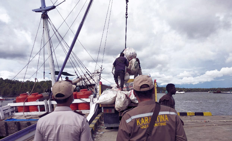 PEMERIKSAAN | Pemeriksaan komoditi yang masuk di Pelabuhan Pomako oleh Karantina Pertanian. (Foto: Ist/SP)