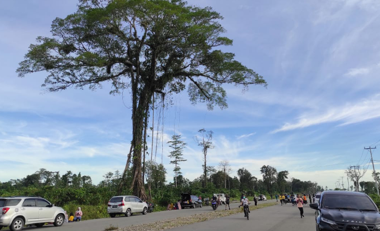 AREA | Area 'pohon jomblo' yang berada di irigasi ujung jadi tempat berolahraga dan 'swafoto' warga Kota Timika. (Foto: Muji/Seputarpapua)