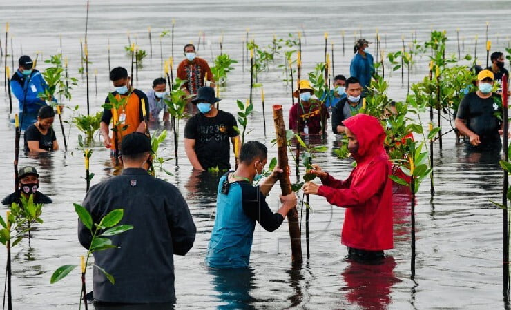 Presiden Joko Widodo melakukan penanaman mangrove bersama masyarakat di Pantai Setokok, Batam, Kepri, Selasa (28/09/2021). (Foto: BPMI Setpres/Laily Rachev)