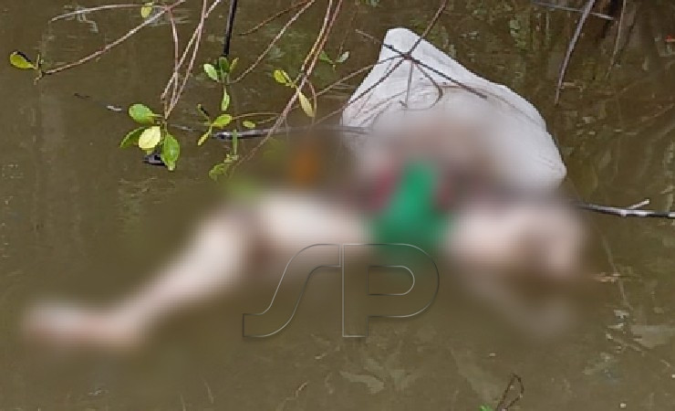 Potongan tubuh manusia tanpa kepala ditemukan terbungkus karung di bawah jembatan Apurpi, Poumako, Timika. (Foto: Ist)