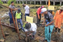Bupati Kabupaten Asmat, Elisa Kambu menanam pohon di Kota Agats memperingati Hari Lingkungan Sedunia, Jumat (10/6/2022)