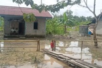 Pemukiman warga di Iwaka, Kabupaten Mimika yang selalu menjadi langganan banjir tahunan. Foto menunjukkan banjir yang mulai surut pada Kamis (18/8/2022) sore. (Foto: Kristin/Seputarpapua)