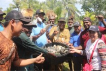 Asisten III Setda Asmat Riechard Mirino bersama pihak Dinas Perikanan dan Kelautan Asmat, serta Kelompom Pirimin menunjukan Ikan Nila hasil budibaya. (Foto: Elgo)