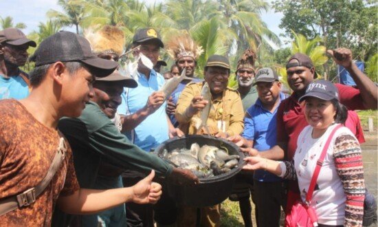 Asisten III Setda Asmat Riechard Mirino bersama pihak Dinas Perikanan dan Kelautan Asmat, serta Kelompom Pirimin menunjukan Ikan Nila hasil budibaya. (Foto: Elgo)