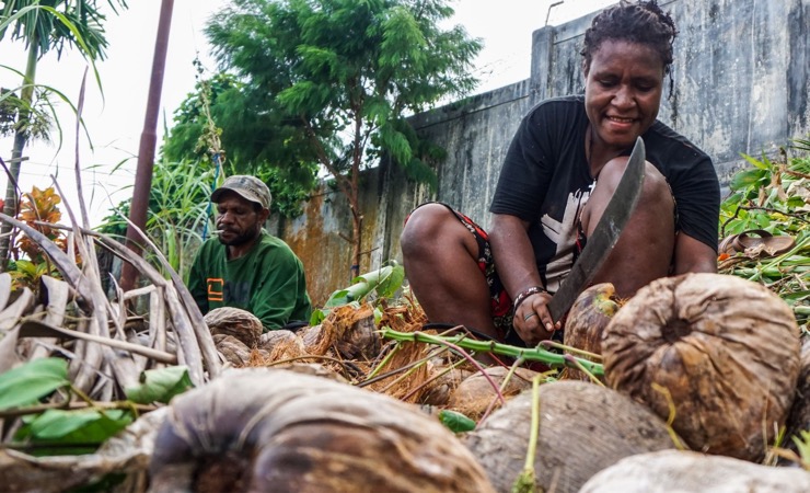 Sejumlah pengungsi mengupas kelapa untuk dijadikan bahan makanan di pengungsian Dok V Atas Jalan Pegunungan Salju (Foto: IndrayadiTH)