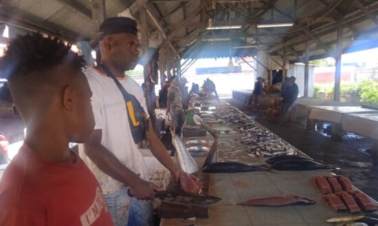 Pedagang ikan putra daerah Jayawijaya, Neles Meaga, sedang menjual ikan di Pasar Potikelek Wamena. (Foto: Amin Momiage/Seputarpapua)