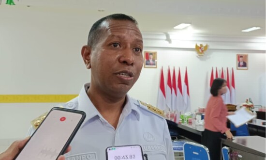 Pj Gubernur Papua Selatan Apolo Safanpo