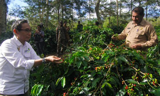 Bupati Jayawijaya Jhon Richard Banua didampingi Kepala OPD mengantar Staf Ahli Menteri Koperasi serta rombongannya ke lokasi Kebun Kopi di Kampung Perabaga, Distrik Piramid, Kabupaten Jayawijaya, Provinsi Papua Pegunungan. (Foto: Amin Momiage/Seputarpapua)