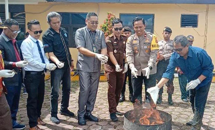 Polres Mimika, Papua Tengah, melakukan pemusnahan barang bukti narkotika golongan I jenis ganja, Selasa (4/4/2023), bertempat di Mako Polres Mimika. (Foto: Arifin/Seputarpapua)