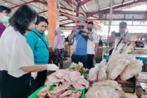 Kepala Disnak dan Keswan Mimika, Drh Sabellina Fitriani melihat kualitas daging ayam di lapak Pasar Sentral Timika. (Foto: Ist)