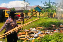 Kepala Kepolisian Sektor (Polsek) Mimika Baru, saat membakar ratusan meriam spiritus yang disita dari anak-anak di Kabupaten Mimika, Papua Tengah. (Foto: Ist)