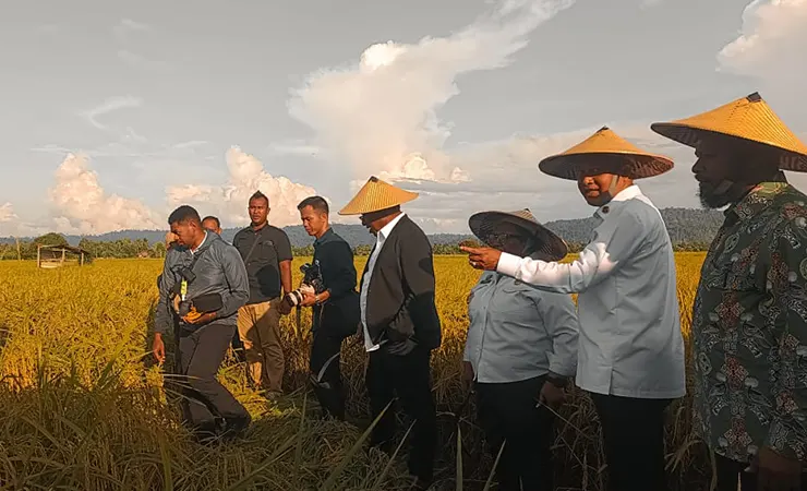 Ribka Haluk Minta Hipeta Jadi Pemasok Beras Papua Tengah