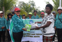 Sekretaris PKK Asmat Sitti Lefteuw menyerahkan bantuan bibit sayuran hidroponik. (Foto: Elgo Wohel/Seputarpapua)