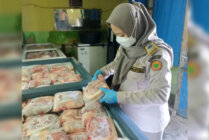 Pengecekan Virus ASF pada sampel daging babi oleh petugas Karantina. (Foto: Humas Karantina PPS)
