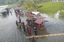 Tampak banjir yang terjadi di Mamberamo Raya, Provinsi Papua. (Foto: Dok BPBD Papua)