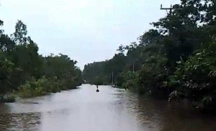 Sebagian Jalan Trans Papua di Distrik Elikobel Merauke digenangi banjir. (Foto: Koramil Elikobel)