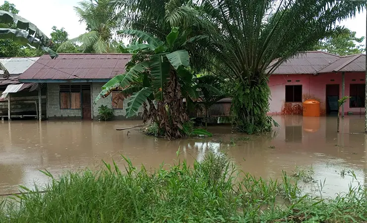 1.653 Jiwa Jadi Korban Terdampak Banjir di Mimika