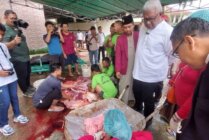 Plt Bupati Mimika Johannes Rettob saat memantau penyembelihan hewan kurban di Masjid LDII yang berada di Jalan Hasanuddin Mimika, Papua Tengah, Senin (17/6/2024). (Foto: Fachruddin Aji/Seputarpapua)