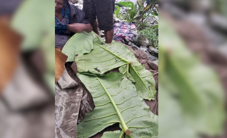 Salah satu jasad korban ditutup dengan daun talas. (Foto: Ist)