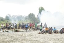 Tradisi bakar batu. (Foto: Tim Media MT)