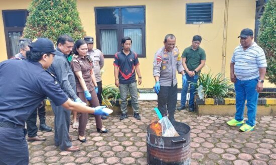 Press release dan proses pemusnahan barang bukti tembakau sintetis dan Dextro yang digelar di Mapolres Mimika, Jalam Agimuga, Mile 32, Kuala Kencana, Mimika, Papua Tengah, Selasa (29/10/2024). (Foto: Fachruddin Aji/Seputarpapua)