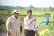 Presiden Prabowo didamping Mentan Amran meninjau lahan pertanian di Merauke, Minggu (3/11/2024). (Foto: Humas Kementan)