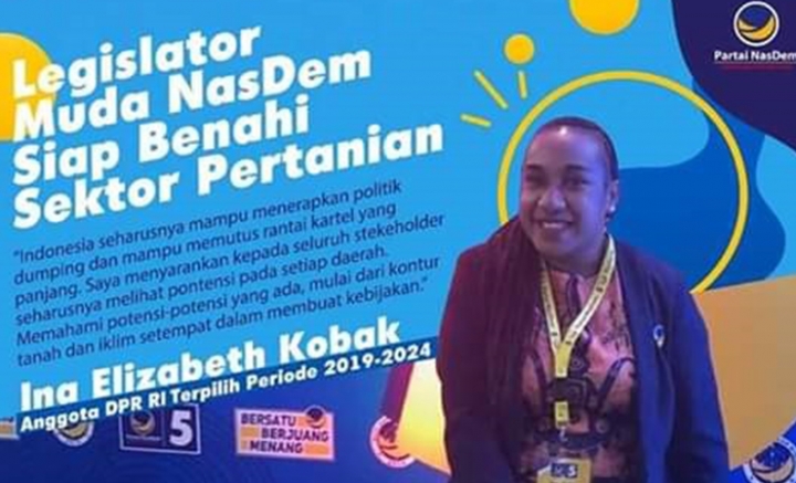 10 Anggota DPR Muda Dilantik, Satu Putri Papua Kelahiran Wamena