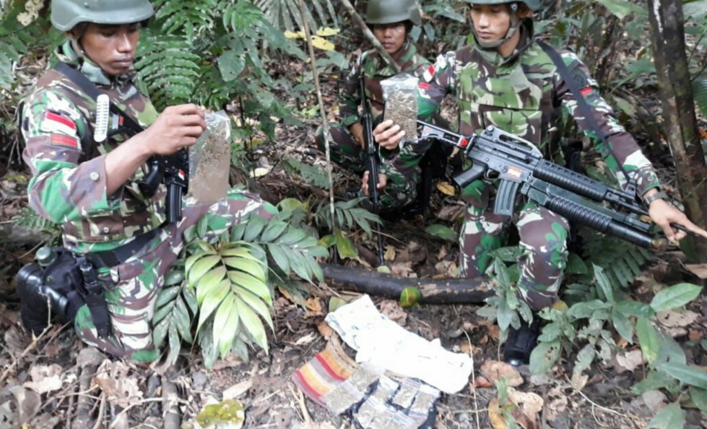 TNI di Perbatasan Amankan 4,2 Kg Ganja Kering Hanya Dalam Dua Hari