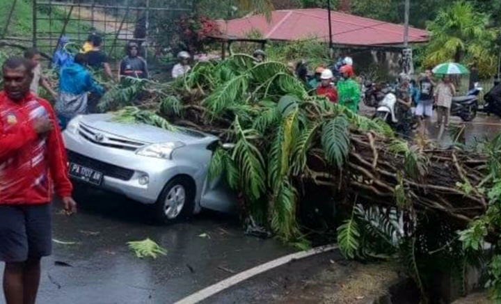 Perwira Polda Papua Tewas Tertimpa Pohon di Kawasan Nirwana