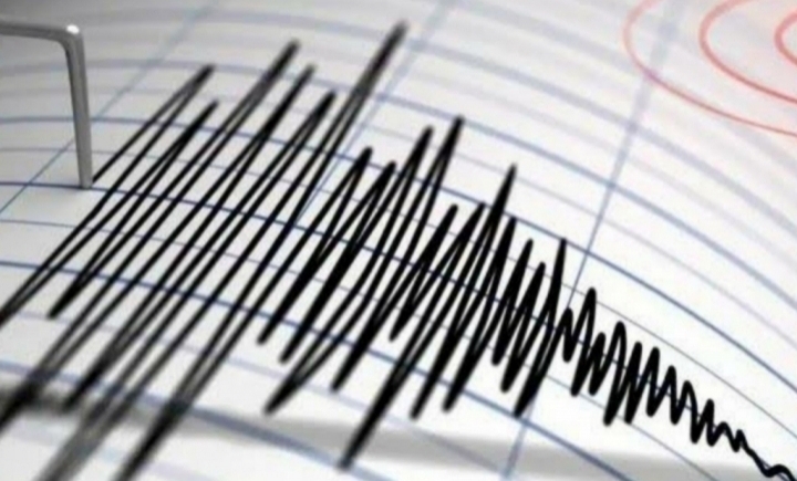 Gempa Bumi Magnitudo 4,5 Guncang Manokwari